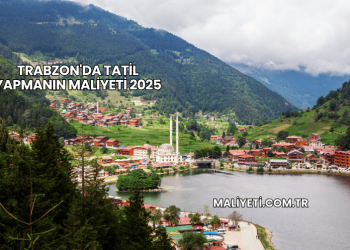 Trabzon'da Tatil Yapmanın Maliyeti 2025