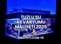 Tuzlu Su Akvaryumu Maliyeti 2025