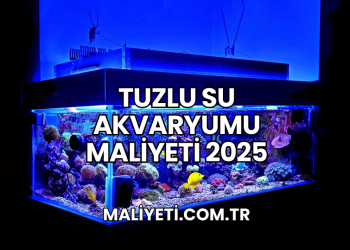 Tuzlu Su Akvaryumu Maliyeti 2025