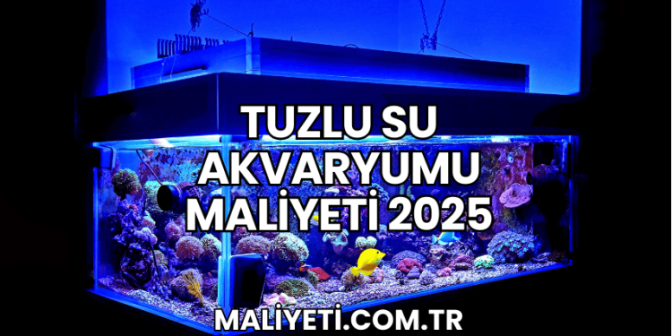 Tuzlu Su Akvaryumu Maliyeti 2025