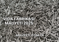 Vida Fabrikası Maliyeti 2025