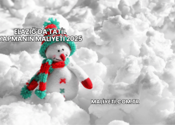 Elazığ'da Tatil Yapmanın Maliyeti 2025