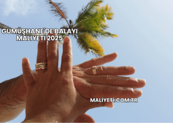 Gümüşhane'de Balayı Maliyeti 2025