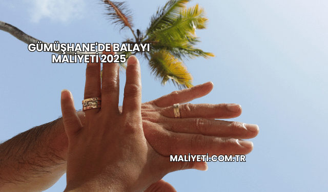 Gümüşhane'de Balayı Maliyeti 2025