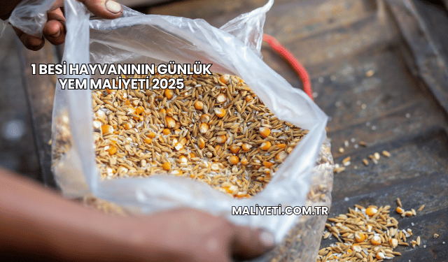 1 Besi Hayvanının Günlük Yem Maliyeti 2025