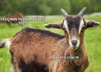 1 Keçinin Yıllık Maliyeti 2025