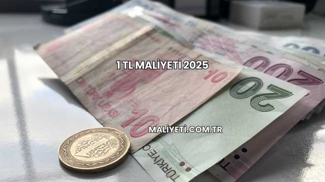 1 Tl Maliyeti 2025