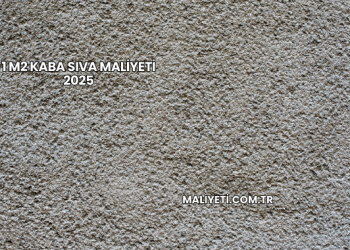 1 m2 Kaba Sıva Maliyeti 2025