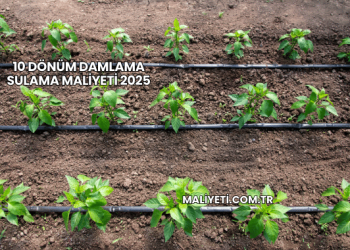 10 Dönüm Damlama Sulama Maliyeti 2025