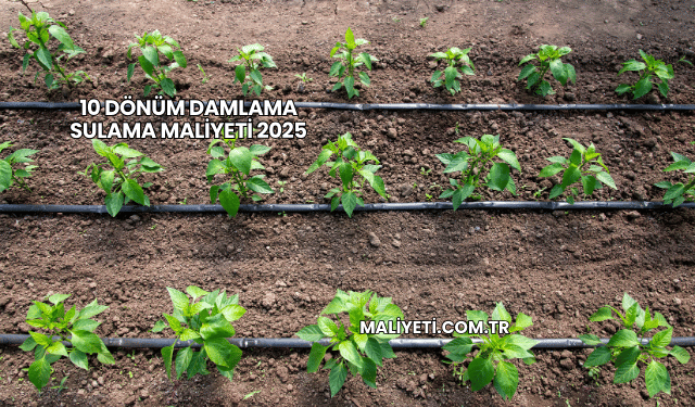 10 Dönüm Damlama Sulama Maliyeti 2025