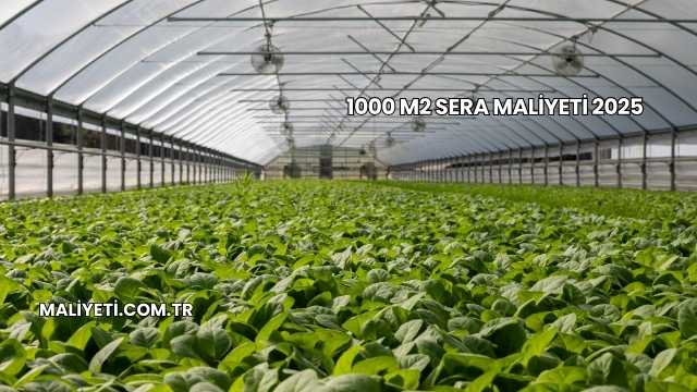 1000 m2 Sera Maliyeti 2025