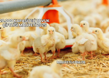 20.000 Kapasiteli Tavuk Çiftliği Maliyeti 2025