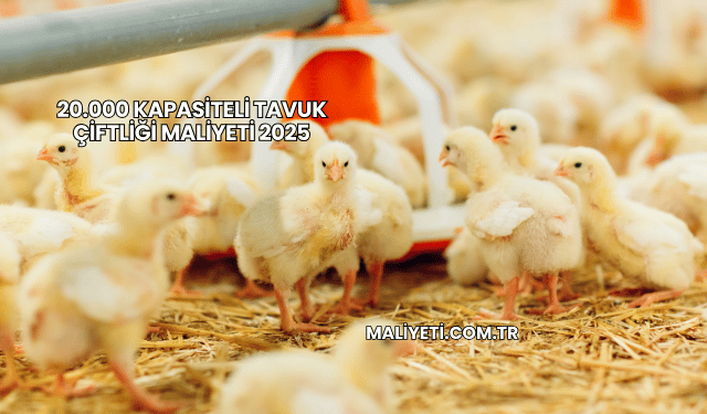 20.000 Kapasiteli Tavuk Çiftliği Maliyeti 2025