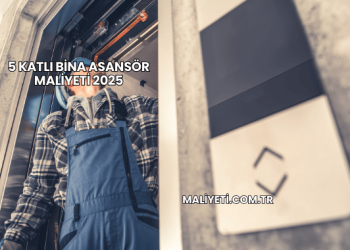5 Katlı Bina Asansör Maliyeti 2025