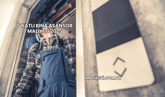5 Katlı Bina Asansör Maliyeti 2025