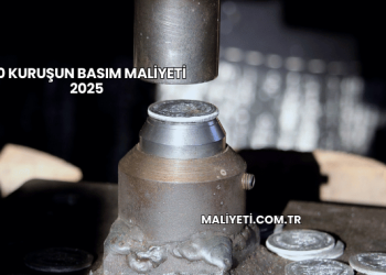 50 Kuruşun Basım Maliyeti 2025