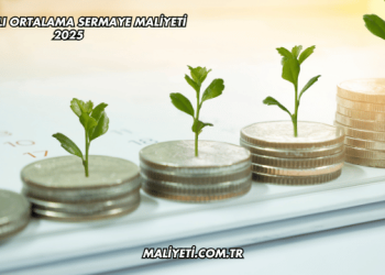 Ağırlıklı Ortalama Sermaye Maliyeti 2025