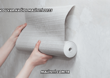 Bir Evin Duvar Kağıdı Maliyeti 2025