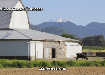 Çiftlik Kurma Maliyeti 2025