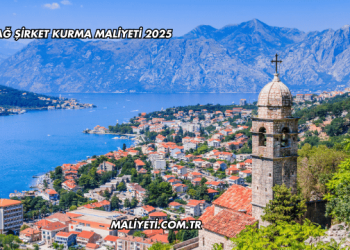 Karadağ Şirket Kurma Maliyeti 2025