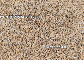 Kimyon Ekimi Maliyeti 2025