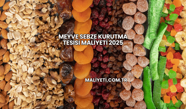 Meyve Sebze Kurutma Tesisi Maliyeti 2025