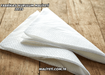 Peçete Fabrikası Kurulum Maliyeti 2025