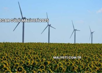Rüzgar Gülü Maliyeti 2025