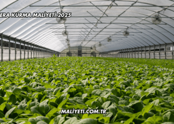 Sera Kurma Maliyeti 2025