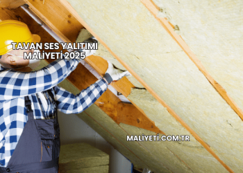 Tavan Ses Yalıtımı Maliyeti 2025