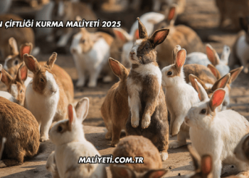 Tavşan Çiftliği Kurma Maliyeti 2025