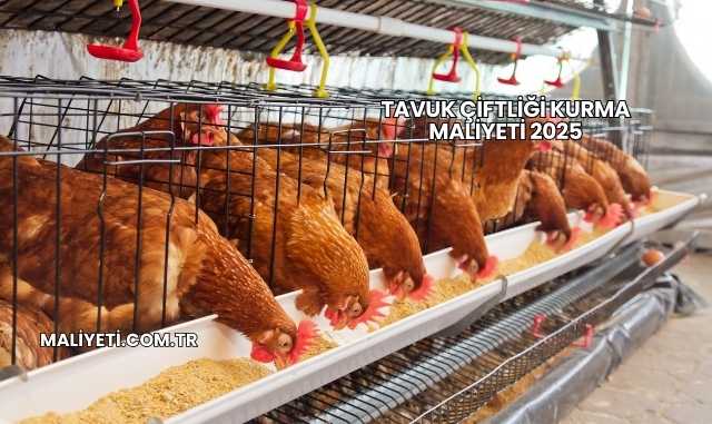 Tavuk Çiftliği Kurma Maliyeti 2025
