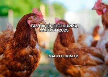 Tavuk Çiftliği Kurma Maliyeti 2025