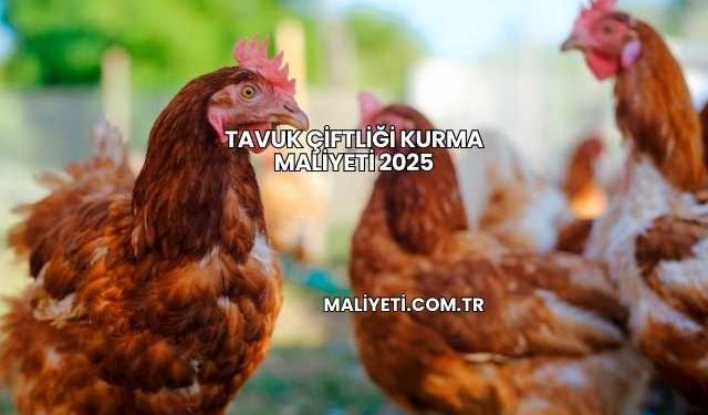 Tavuk Çiftliği Kurma Maliyeti 2025