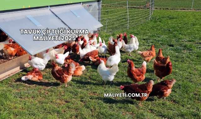 Tavuk Çiftliği Kurma Maliyeti 2025