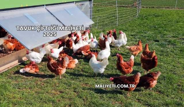 Tavuk Çiftliği Maliyeti 2025