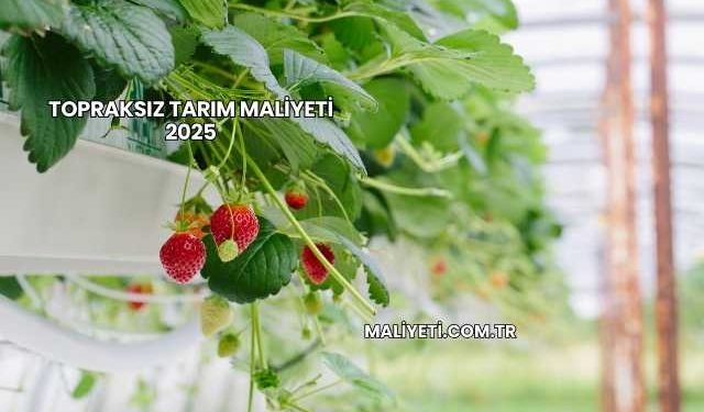 Topraksız Tarım Maliyeti 2025