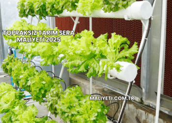 Topraksız Tarım Sera Maliyeti 2025