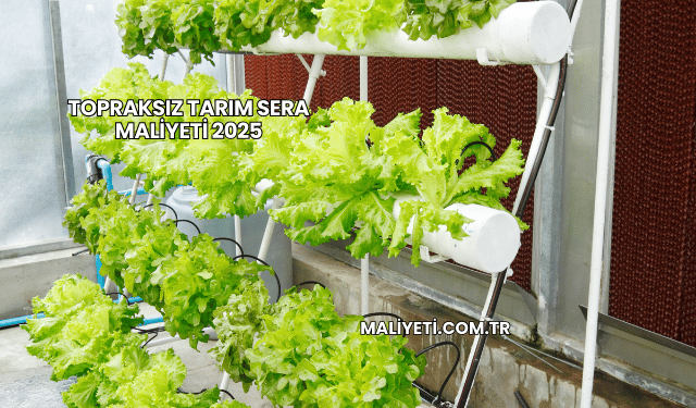Topraksız Tarım Sera Maliyeti 2025
