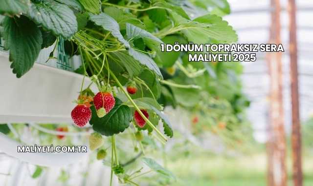 1 Dönüm Topraksız Sera Maliyeti 2025