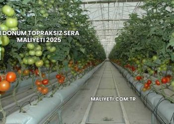1 Dönüm Topraksız Sera Maliyeti 2025