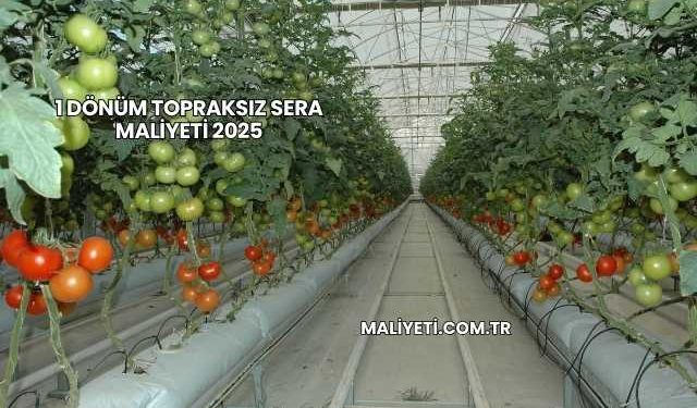 1 Dönüm Topraksız Sera Maliyeti 2025