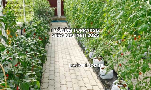 1 Dönüm Topraksız Sera Maliyeti 2025