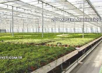 200 M2 Sera Maliyeti 2025