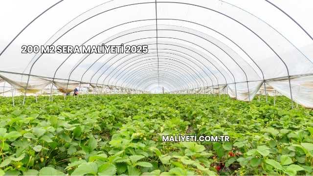 200 M2 Sera Maliyeti 2025