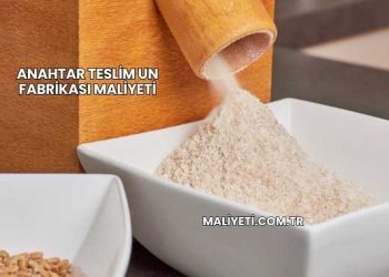 Anahtar Teslim Un Fabrikası Maliyeti