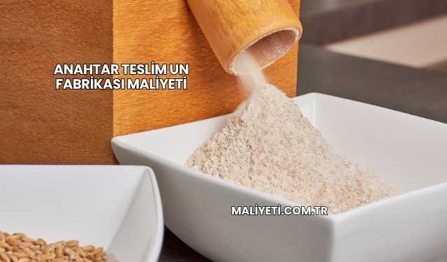 Anahtar Teslim Un Fabrikası Maliyeti