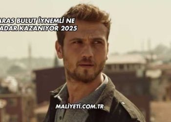 Aras Bulut İynemli Ne Kadar Kazanıyor 2025