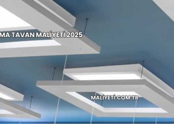 Asma Tavan Maliyeti 2025