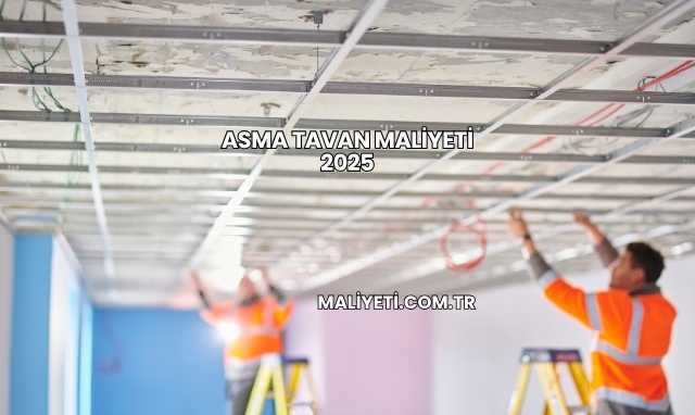 Asma Tavan Maliyeti 2025